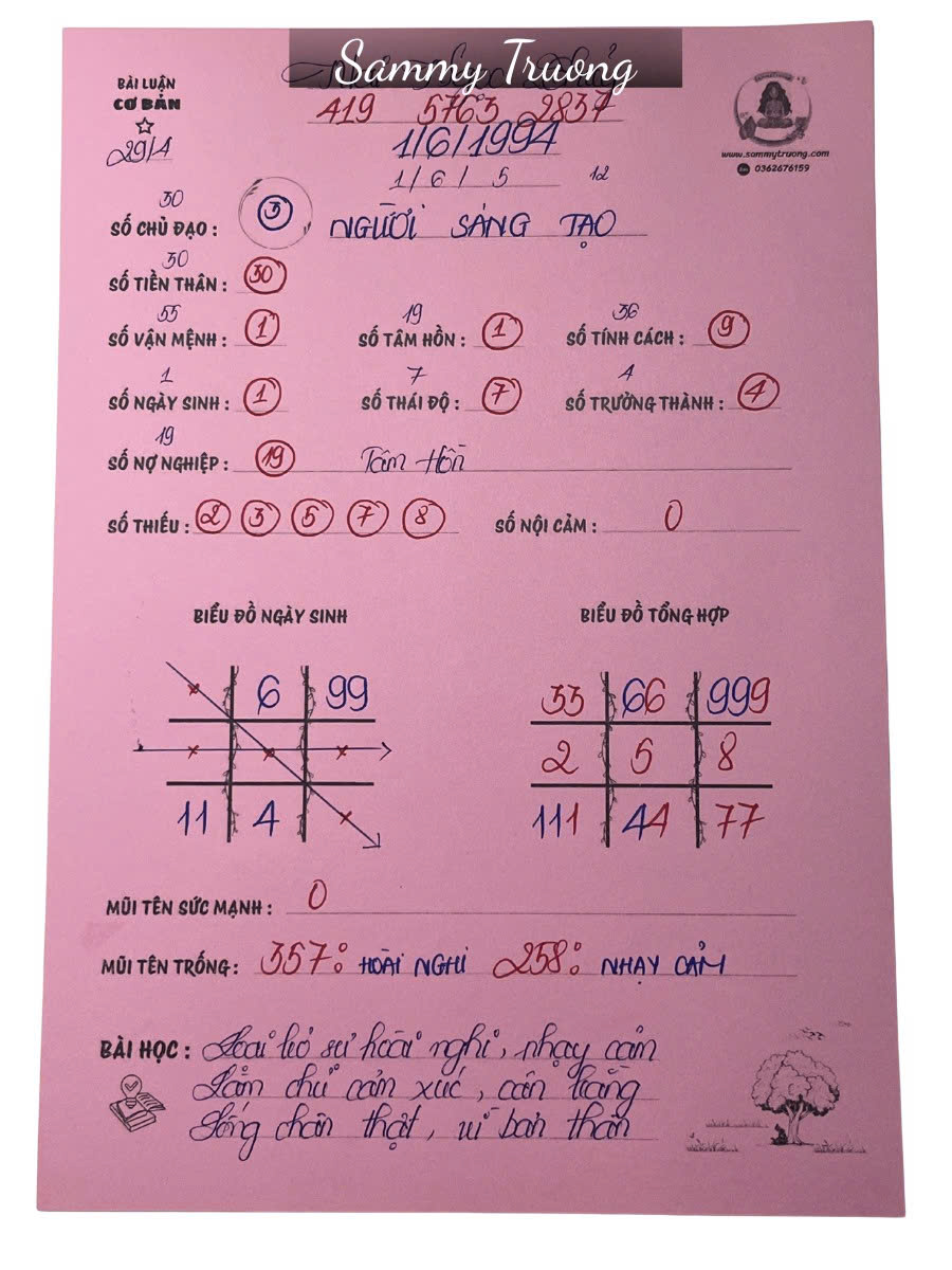 Mẫu đã luận gói cơ bản — mặt trước