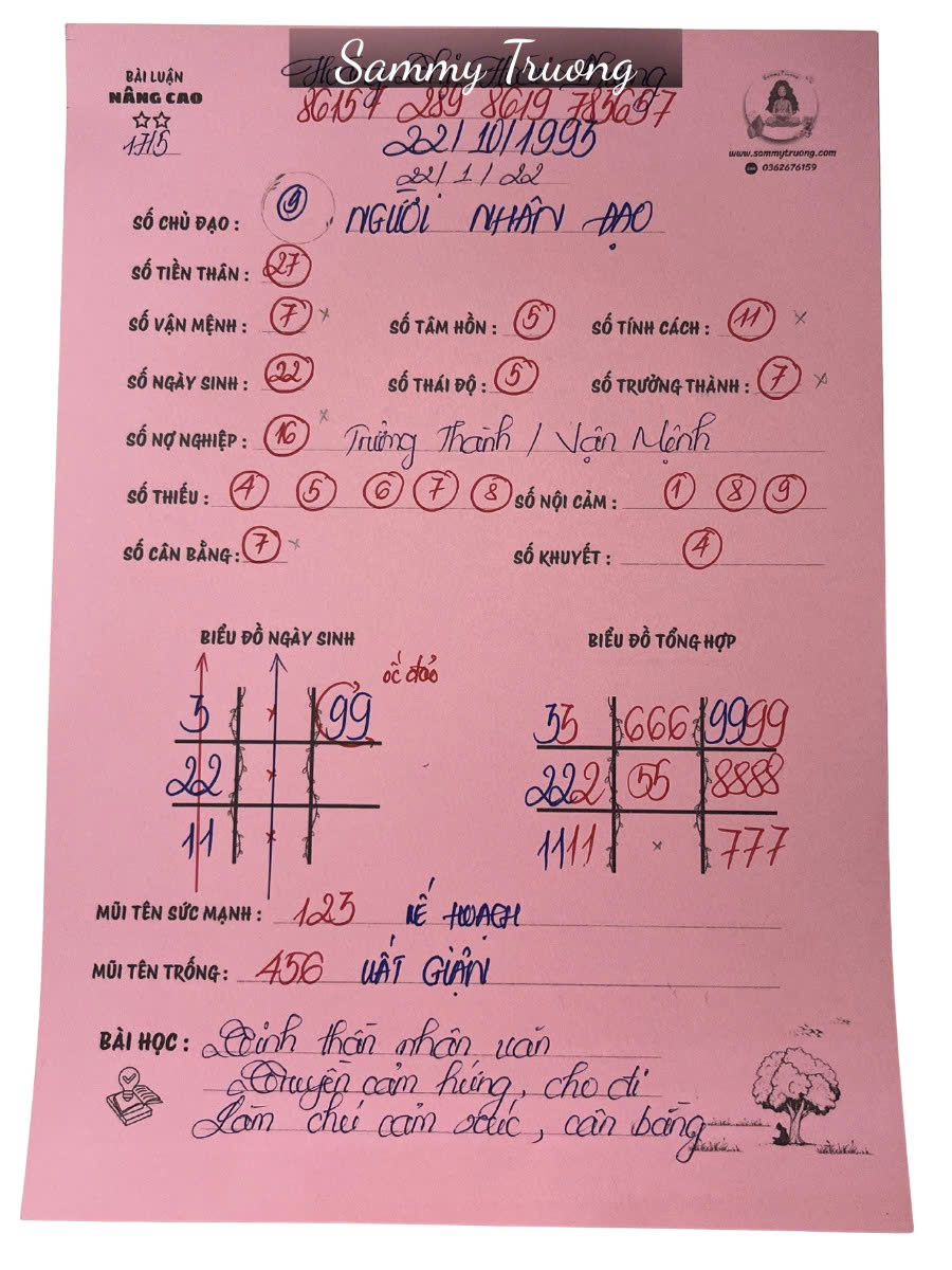 Mẫu đã luận gói nâng cao — mặt trước