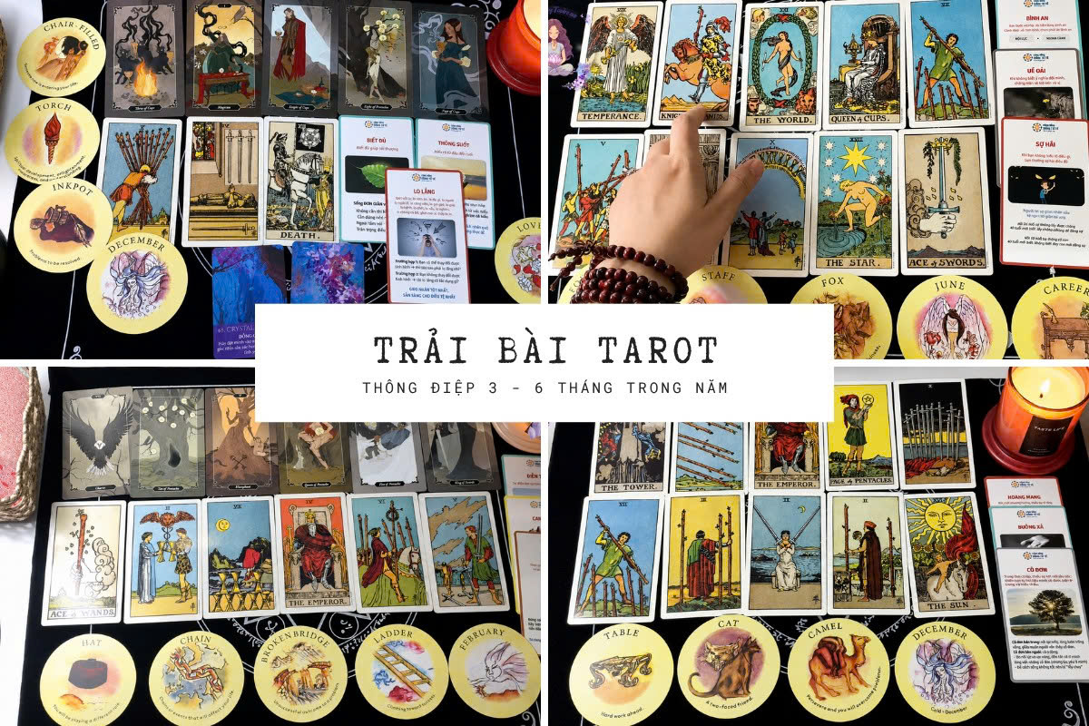 Bài Tarot chuyên sâu — gói đặc biệt